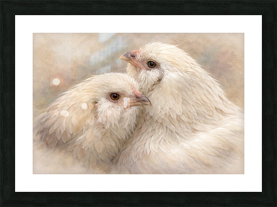 Sisters - A Quiet Devotion Picture Frame print