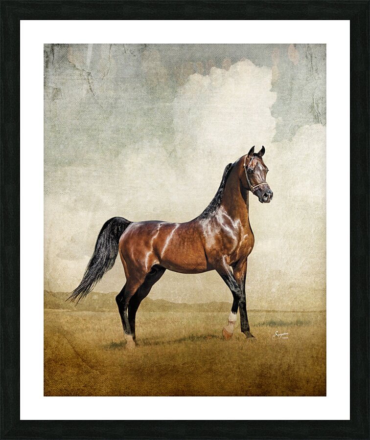 Thee Desperado Picture Frame print