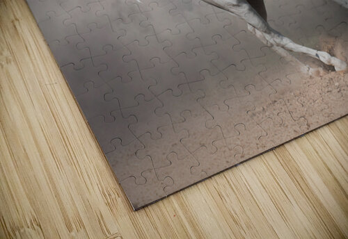 Alia  Suzanne Sturgill puzzle