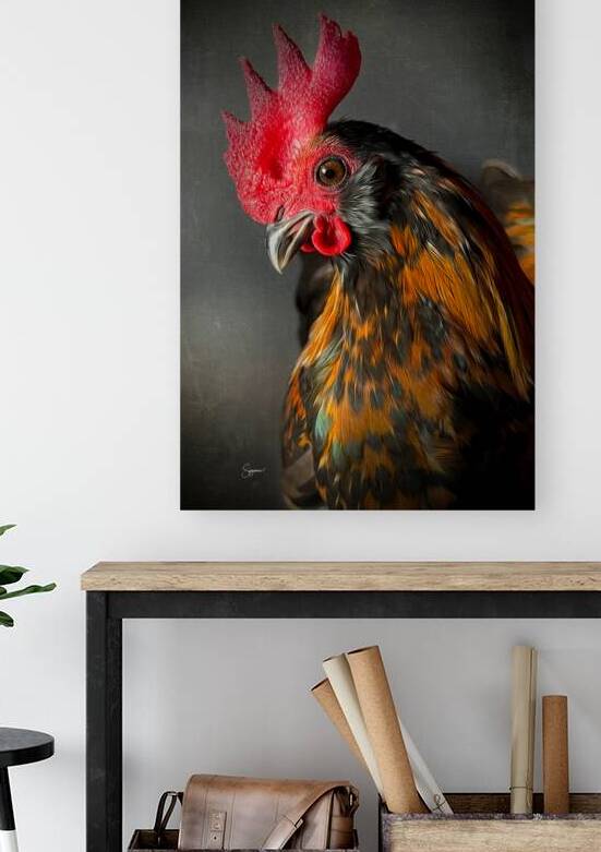 Willy the Rooster by Suzanne Sturgill