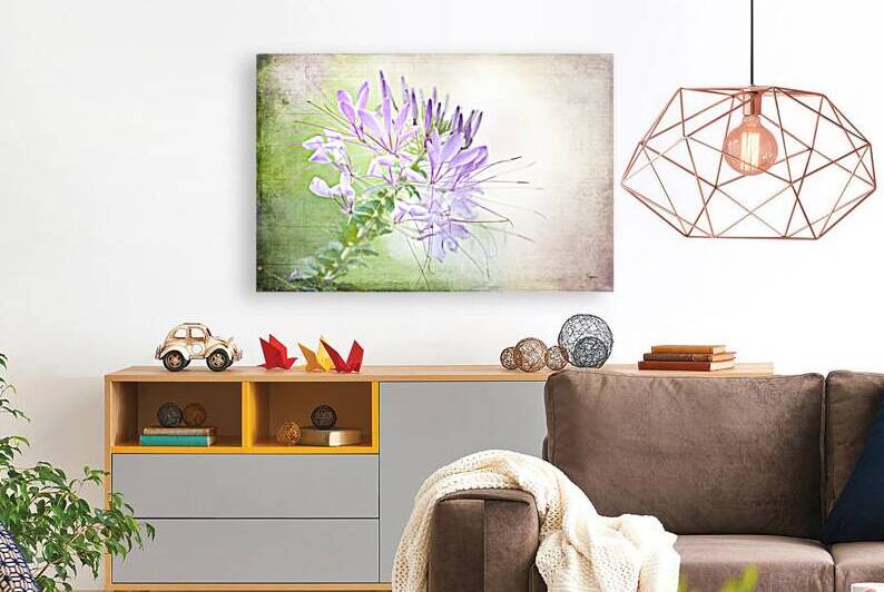 Veil of Serenity by Suzanne Sturgill
