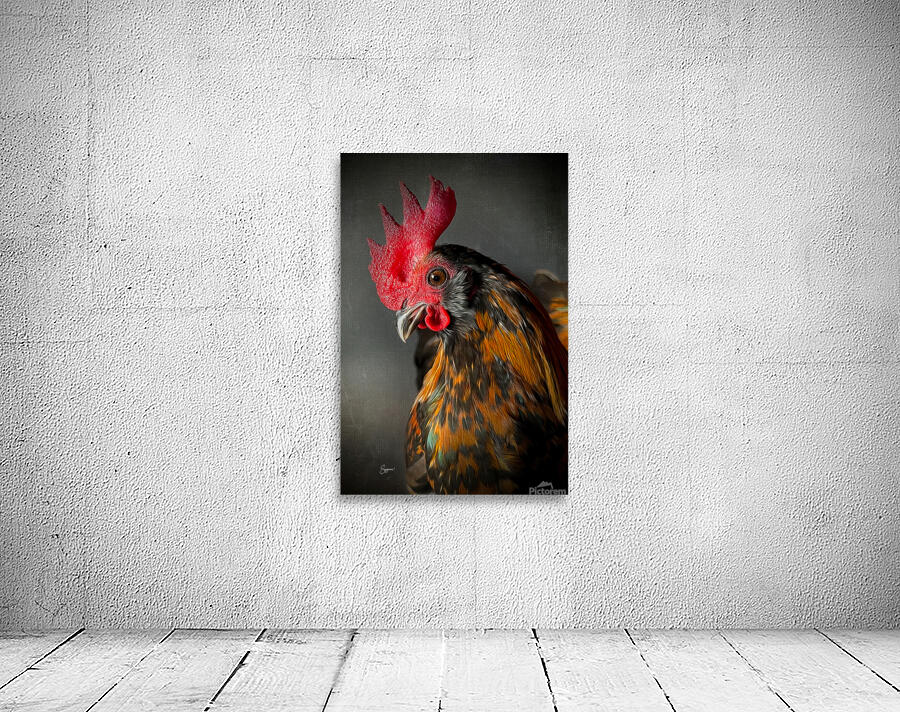 Willy the Rooster Wall Preview