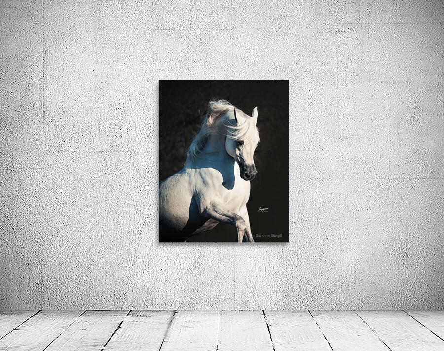 Nadir Wall Preview