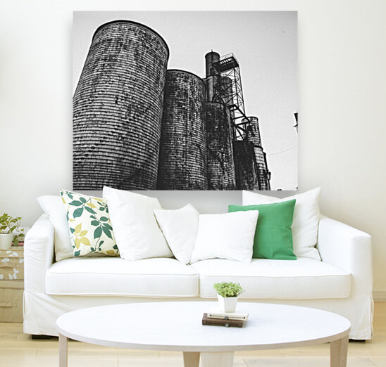 Silos B+W Reproduction