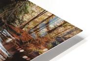 Hocking Hills HD Metal print