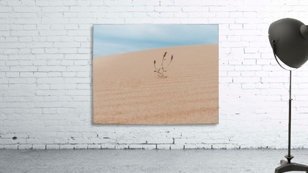 Single Flower Wall Preview