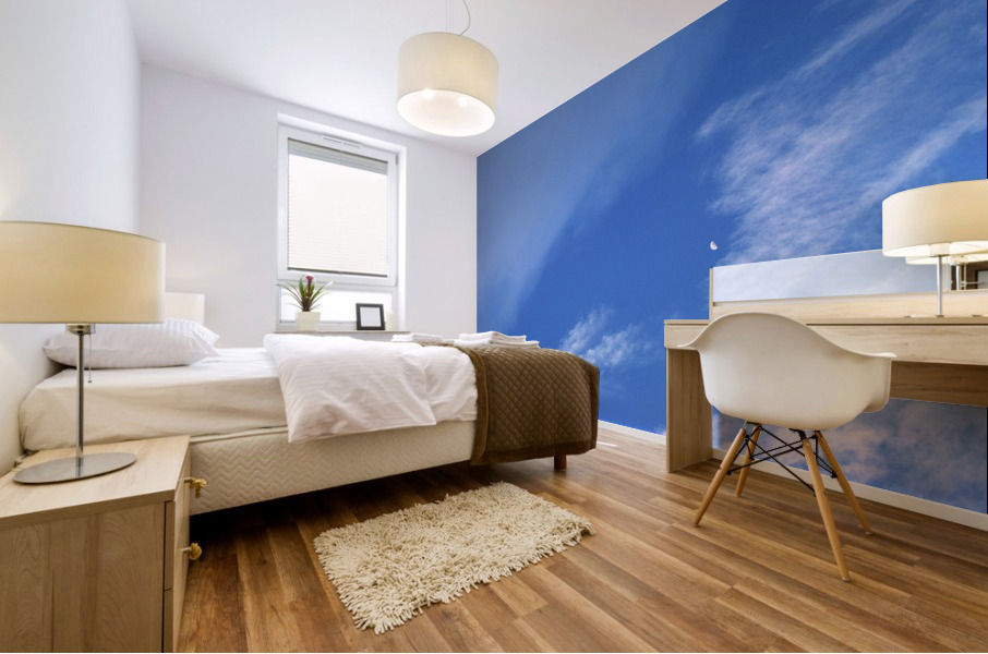 Impermanence Mural print
