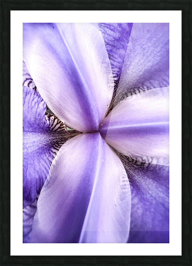Messenger Picture Frame print