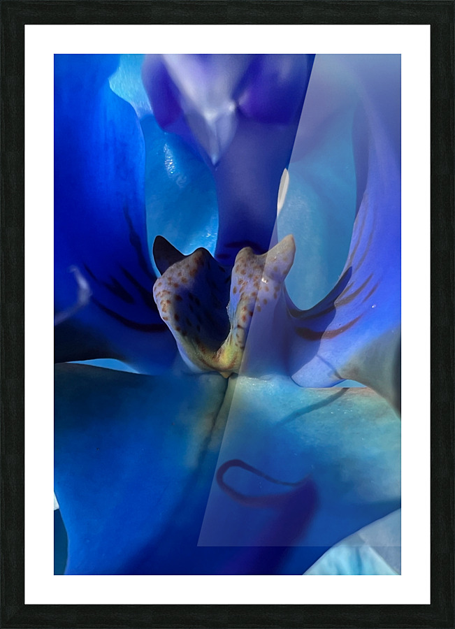 Deep Blue  Picture Frame print
