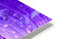 Purple Angel HD Metal print