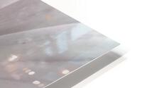 Radiance HD Metal print