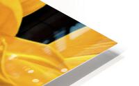 Sunshine HD Metal print
