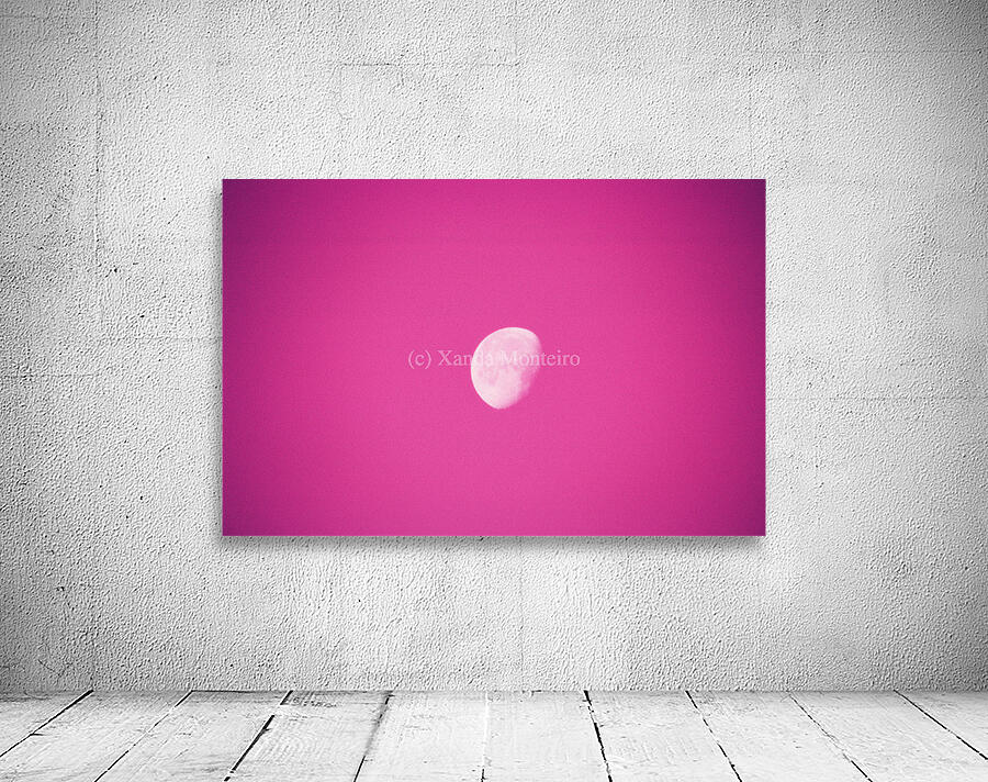 Pink Moon Wall Preview