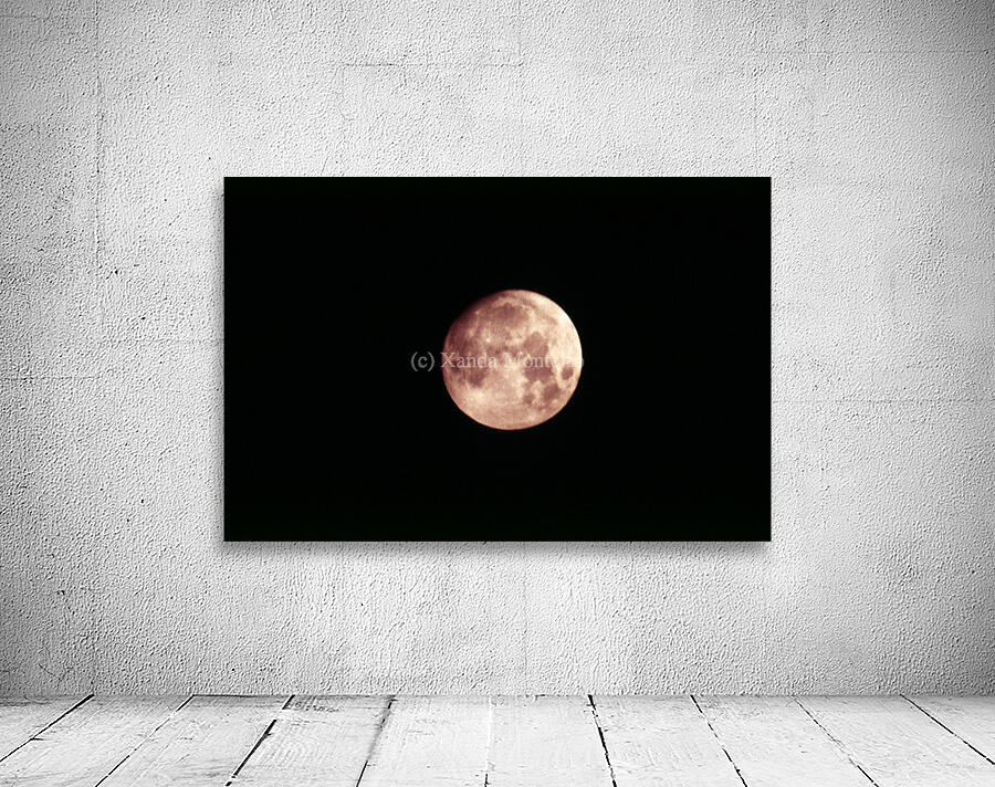  Eclipse Moon Wall Preview