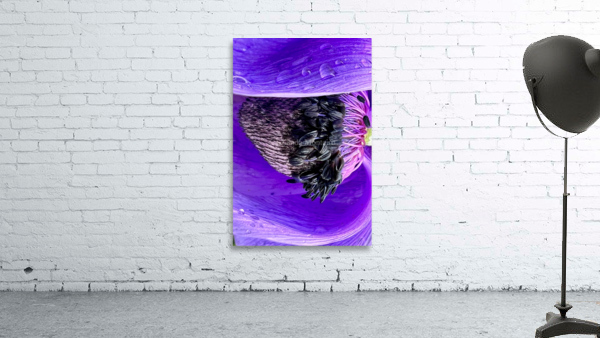 Purple Angel Wall Preview