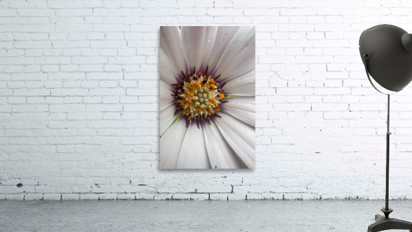 Radiance Wall Preview