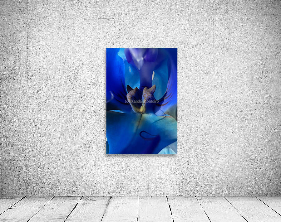 Deep Blue  Wall Preview