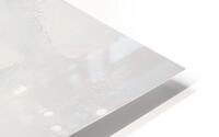 Love  HD Metal print