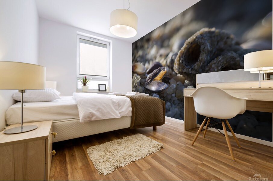 Beach Treasure Mural print