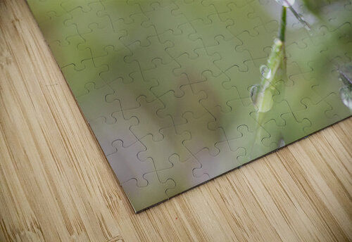 Drops System KSB Photography puzzle