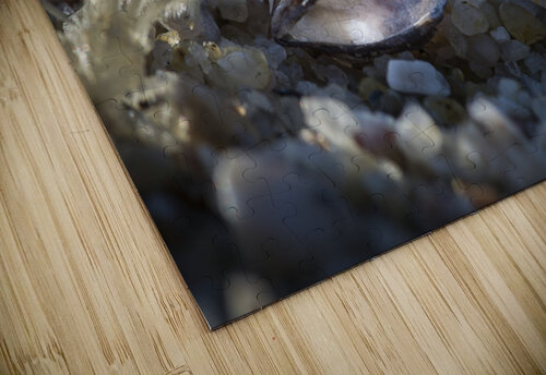 Beach Treasure KSB Photography puzzle