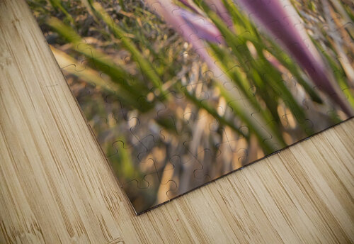 Crocus KSB Photography puzzle