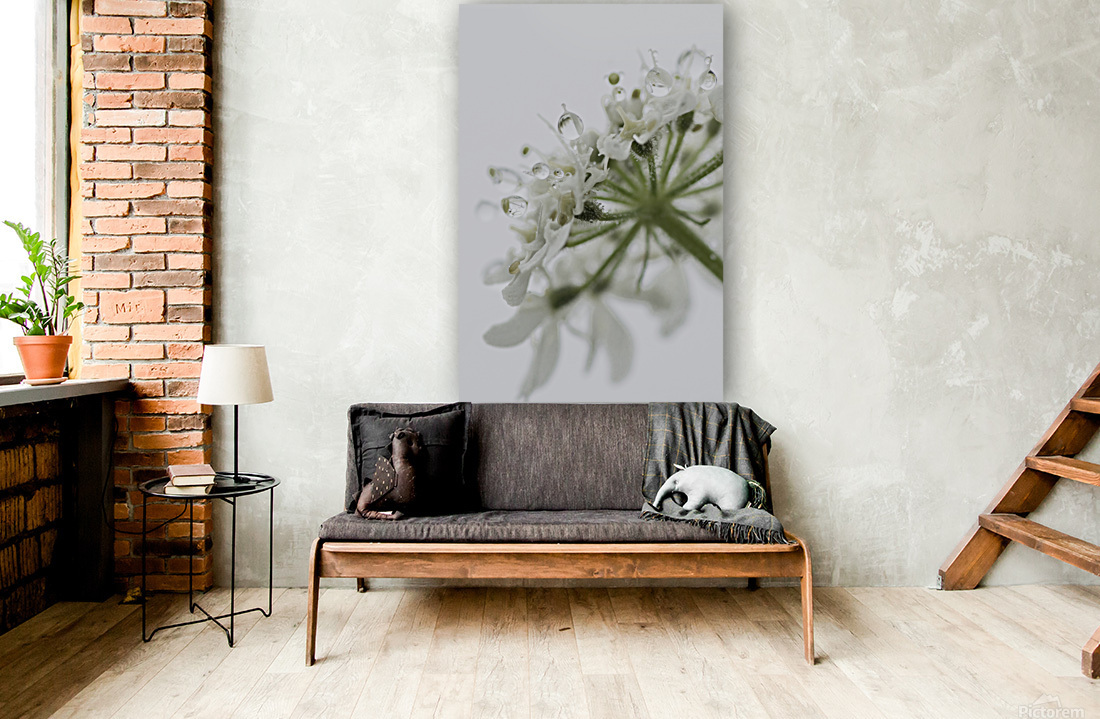  White Dew vertical Reproduction