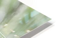 Drops rail HD Metal print