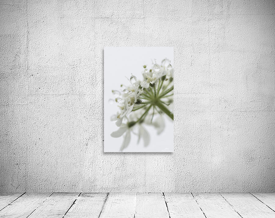  White Dew vertical Wall Preview