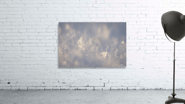 Winter Leaf Wall Preview