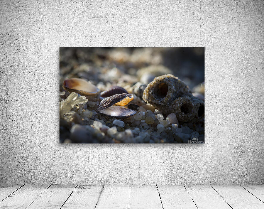Beach Treasure Wall Preview