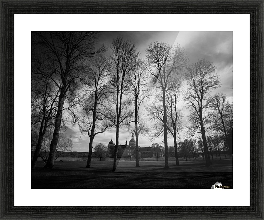 Gripsholm  Picture Frame print