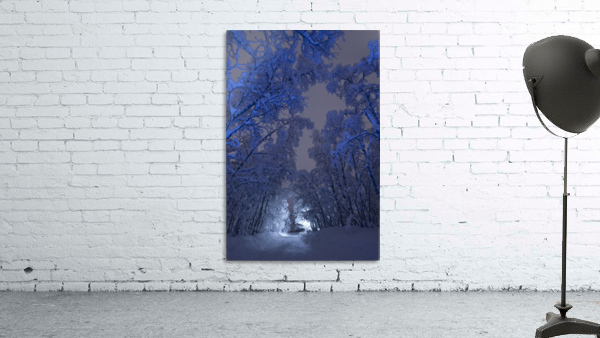 Blue passage Wall Preview