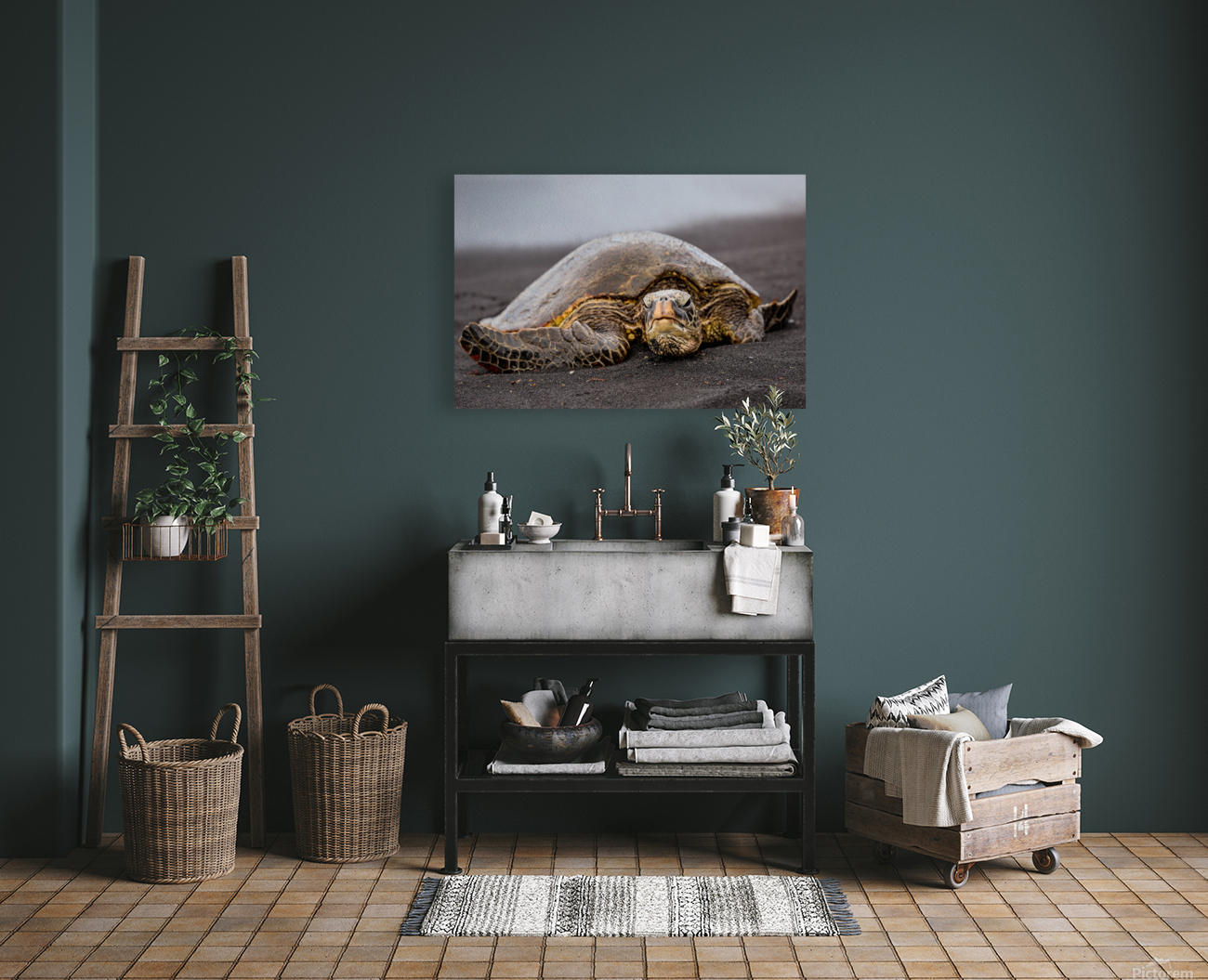 Turtle 1 Reproduction