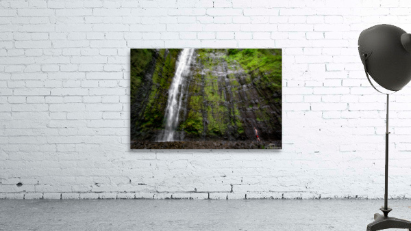 Punalau Falls Wall Preview