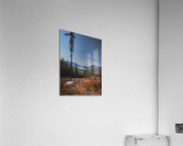 Clearcut views Acrylic Print