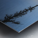 Clearcut views Metal print