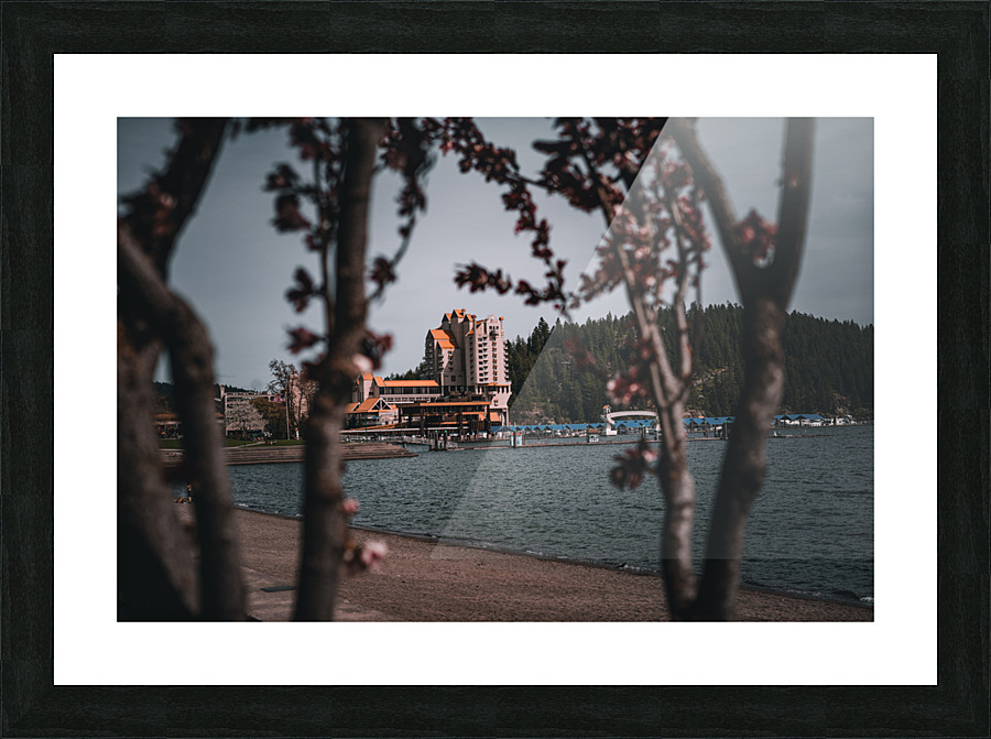 Resorting through the tress Picture Frame print