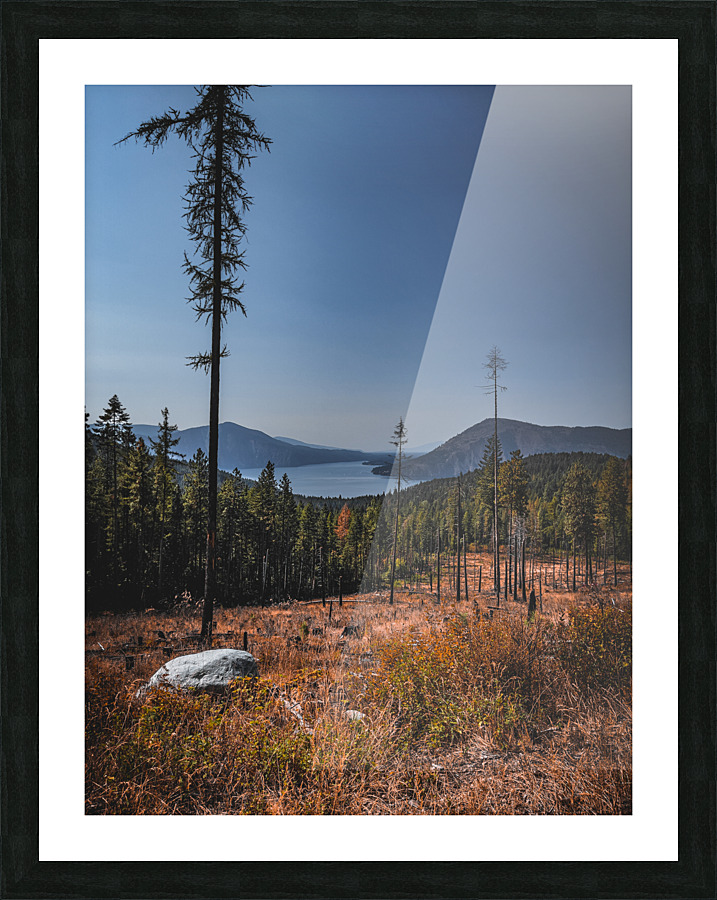 Clearcut views Picture Frame print