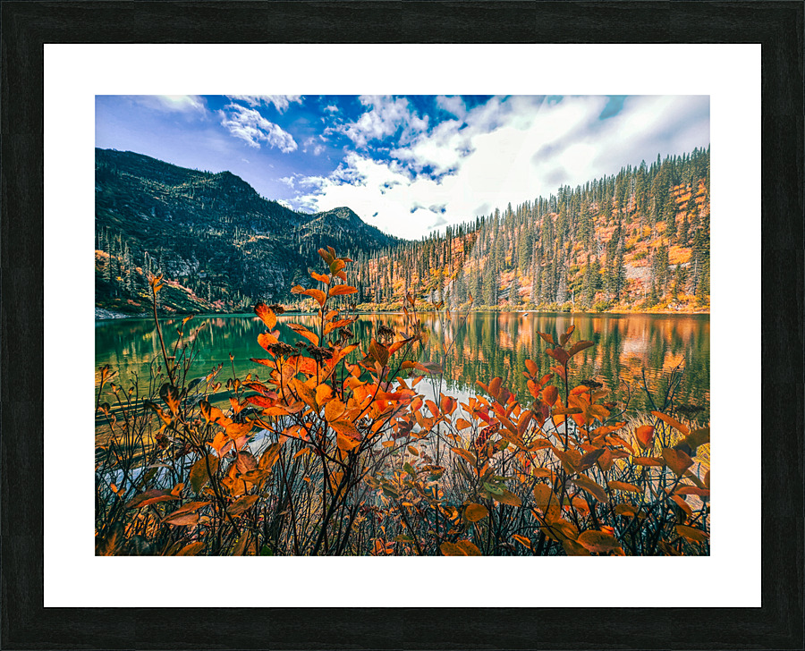 Fall Colors Picture Frame print