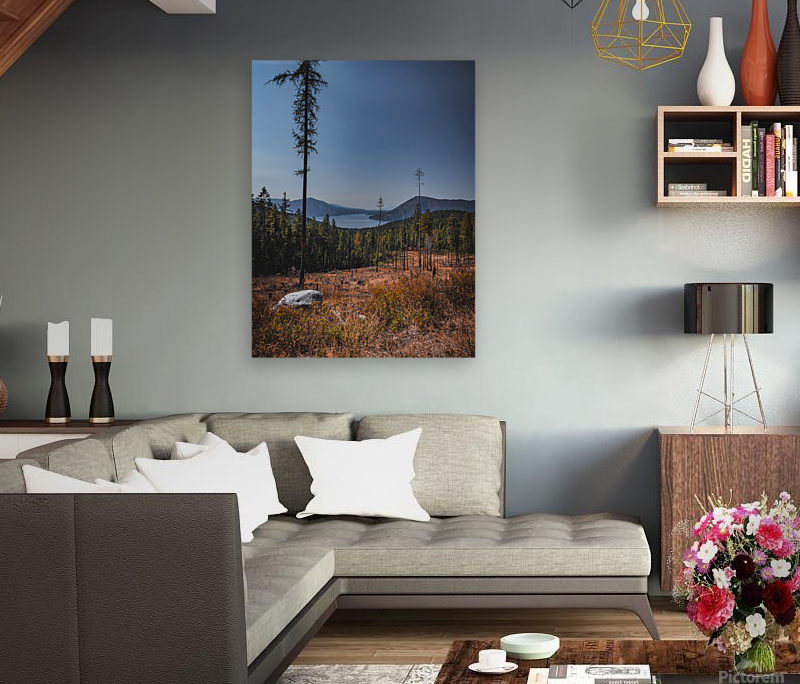 Clearcut views Reproduction