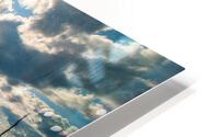 Beetop-Roundtop HD Metal print