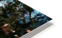 Swinging Bridge Tubb HD Metal print