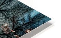 Dark Sunset HD Metal print