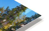 Falling Views HD Metal print
