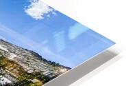 Beehive Reflections HD Metal print
