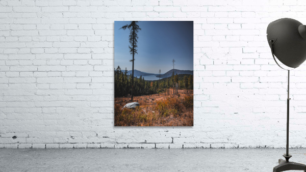 Clearcut views Wall Preview