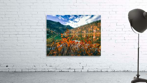 Fall Colors Wall Preview