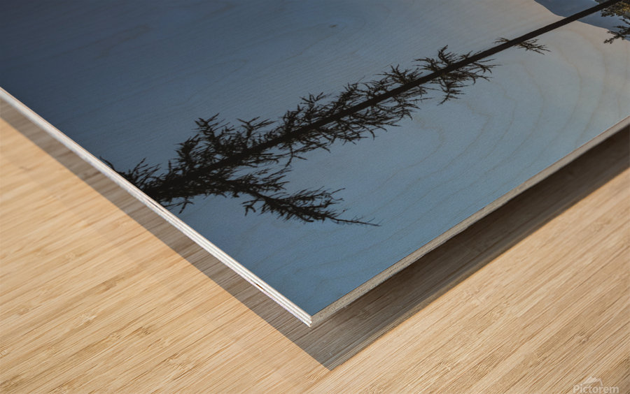Clearcut views Wood print