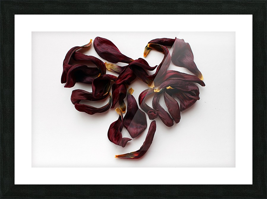 Heart Picture Frame print